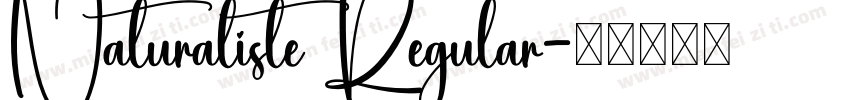 Naturaliste Regular字体转换